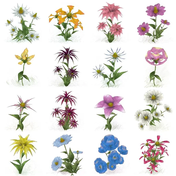 Bezešvé Vzor Květinami — Stock fotografie