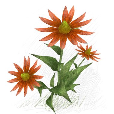 beyaz arkaplanda izole edilmiş çiçek