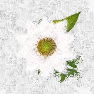 Beyaz arkaplanda Noel süslemesi