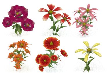 Beyaz arkaplanda güzel çiçekler