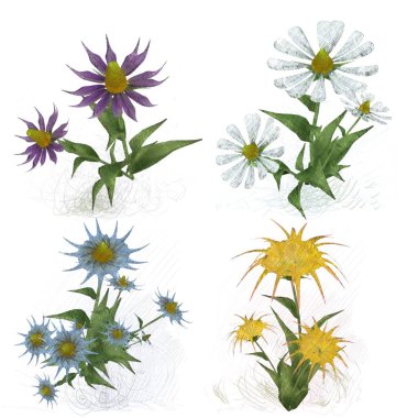 beyaz zemin üzerine suluboya çiçek