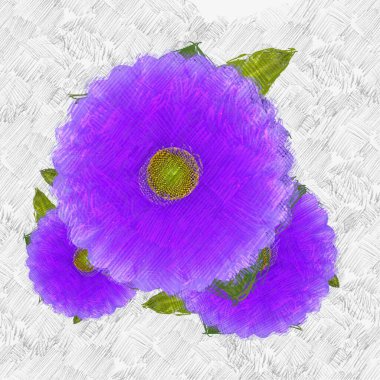 Beyaz arkaplanda pembe çiçek