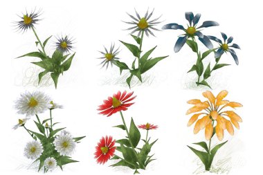 Beyaz arkaplanda güzel çiçekler