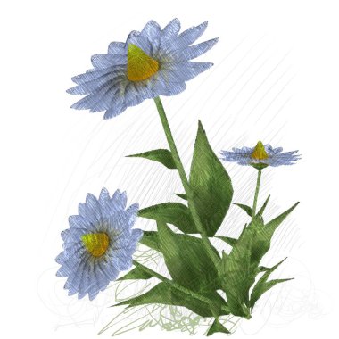 Beyaz arkaplanda güzel çiçekler