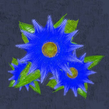 Siyah bir arkaplanda ayçiçeği