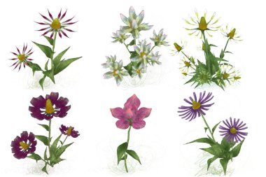 Beyaz arkaplanda güzel çiçekler