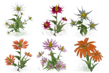 Beyaz arka planda suluboya çiçekler seti