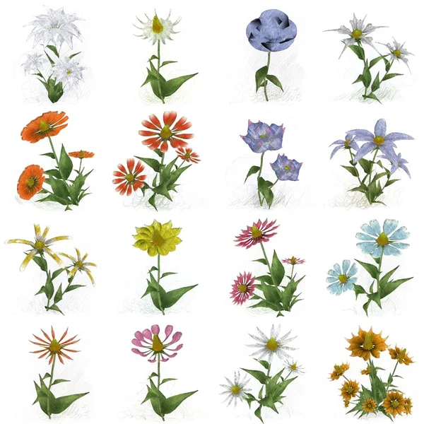 Płynny Wzór Kwiatami — Zdjęcie stockowe