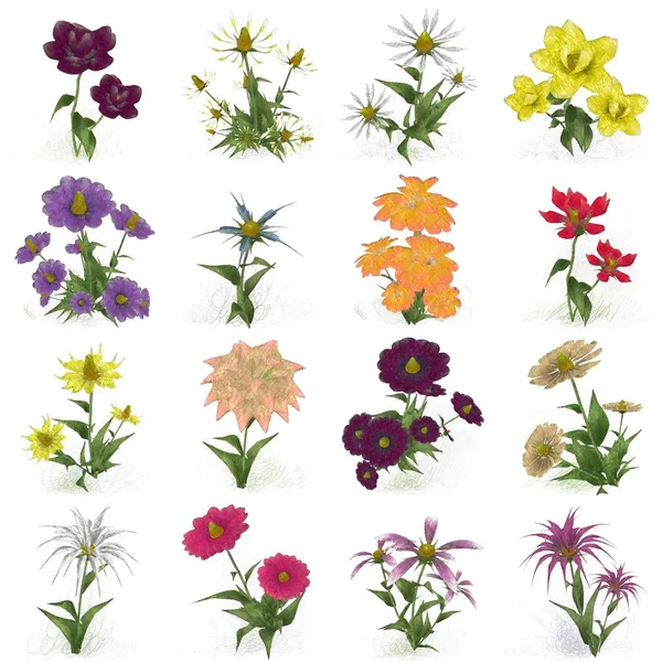 Płynny Wzór Kwiatami — Zdjęcie stockowe
