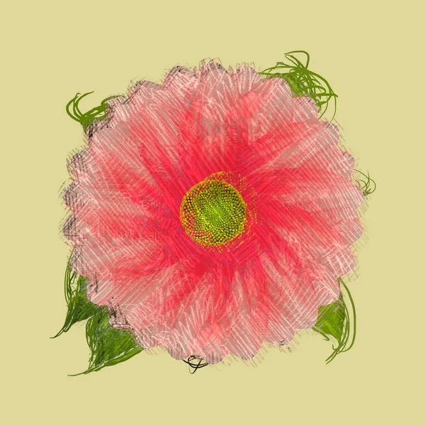 Messy grungy flower on shabby background