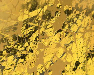 Metnin için alanı olan soyut grunge arkaplanı   