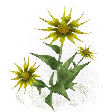 beyaz zemin üzerine suluboya çiçek