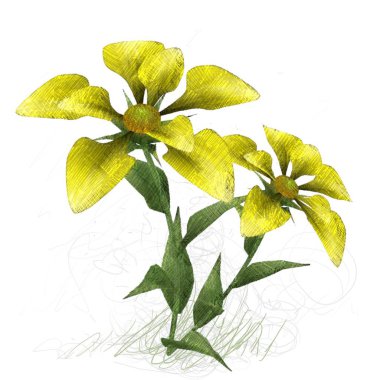 Beyaz arkaplanda güzel çiçekler 