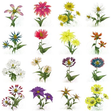 Beyaz arka planda suluboya çiçekler seti