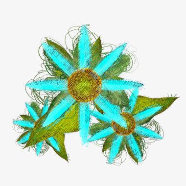 beyaz arkaplanda izole