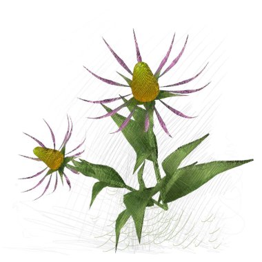 beyaz zemin üzerine suluboya çiçek