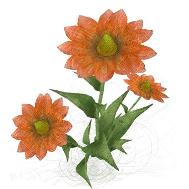 beyaz arkaplanda izole edilmiş çiçek