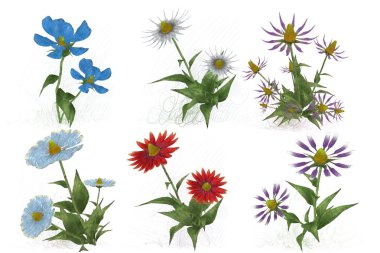 Beyaz arkaplanda güzel çiçekler