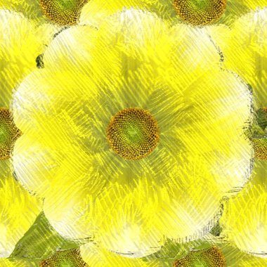 ayçiçeği sarı arka plan