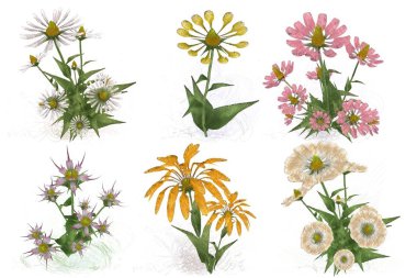 Çiçeklerle kusursuz desen