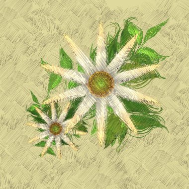 bir ahşap zemin üzerinde çiçek