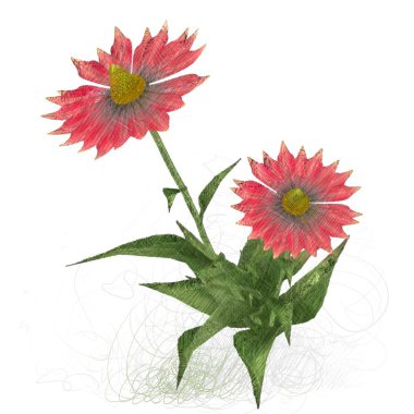 Beyaz arkaplanda güzel çiçekler 