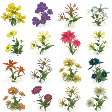 Çiçeklerle kusursuz desen