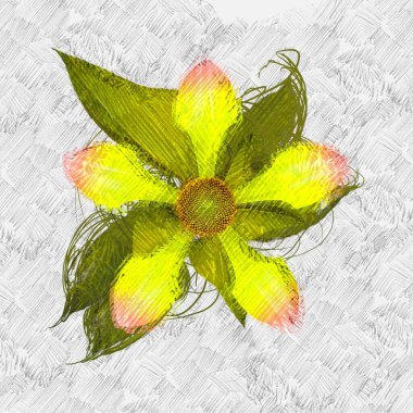 Renkli çiçek doku arka plan 