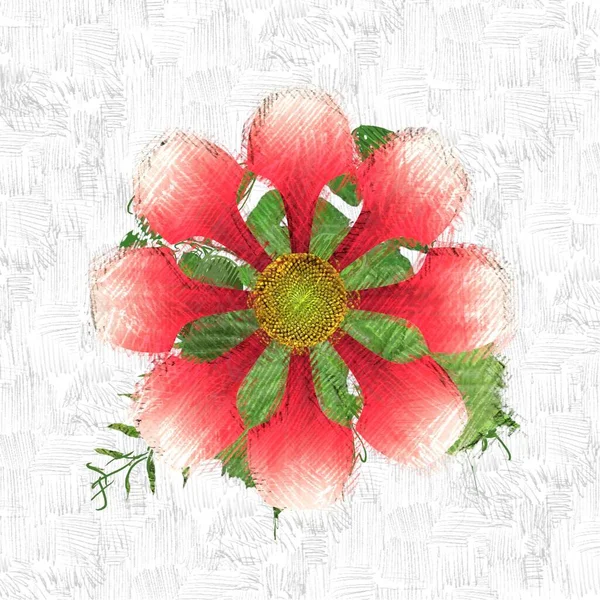 red flowers on a white background