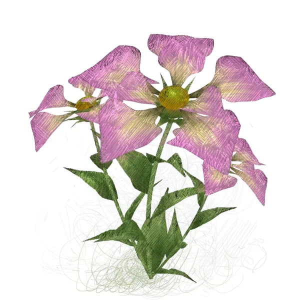 Akvarell Blommor Vit Bakgrund — Stockfoto