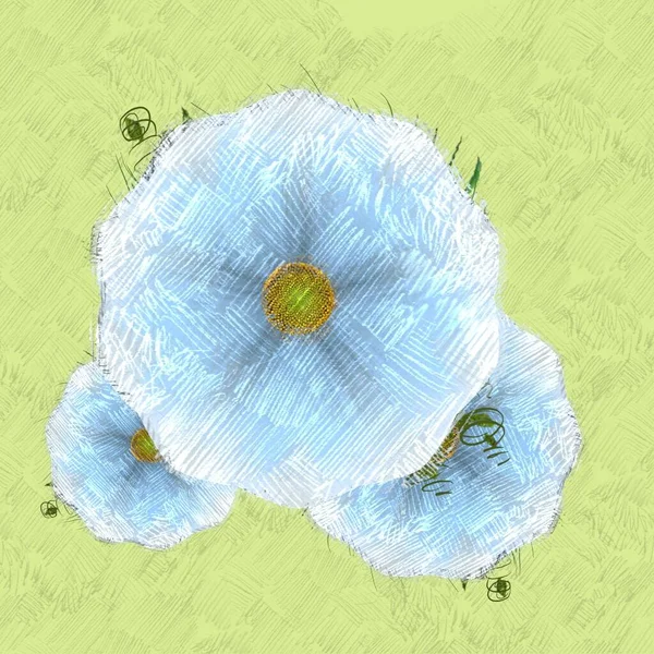 Fond Blanc Avec Des Fleurs — Photo