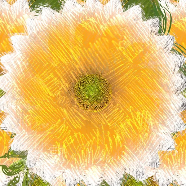 Bunga Matahari Taman — Stok Foto