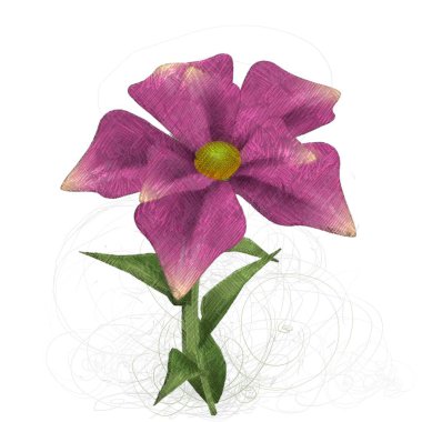 Beyaz arkaplanda güzel çiçekler 