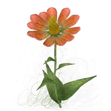 Beyaz arkaplanda güzel çiçekler