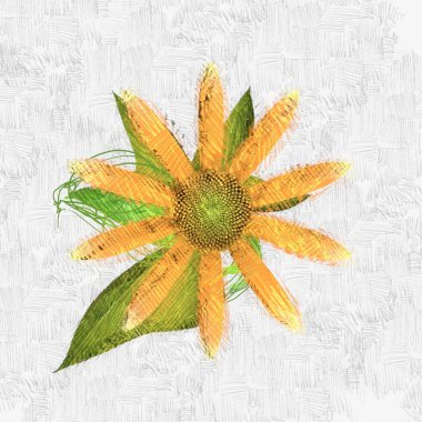 beyaz arkaplanda yeşil yapraklar