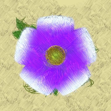 alan ile renkli arka plan