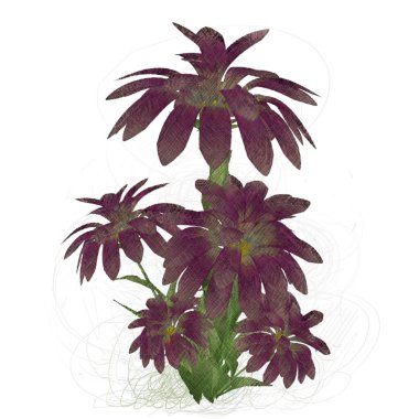 Beyaz arkaplanda güzel çiçekler 