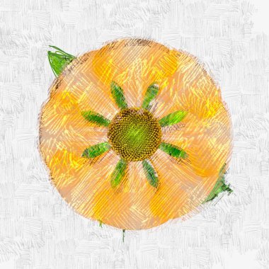 beyaz arkaplanda taze meyve