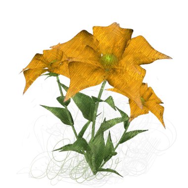 Beyaz arkaplanda güzel çiçekler