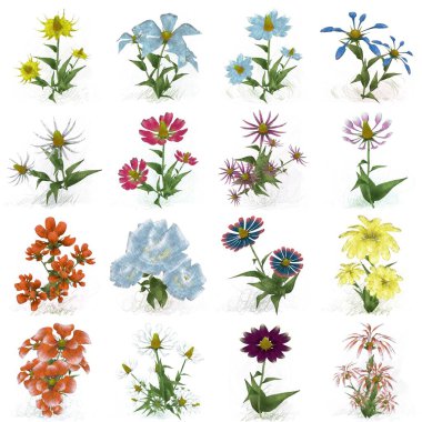 Beyaz arka planda suluboya çiçekler seti