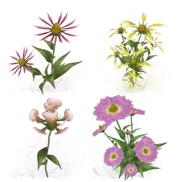 Çiçekler Ile Çiçek Suluboya Desen — Stok fotoğraf