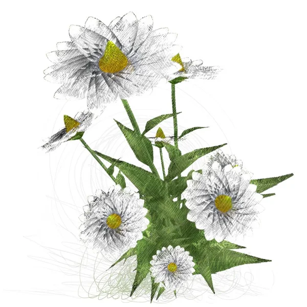 Mooie Bloemen Witte Achtergrond — Stockfoto