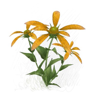 Beyaz arka plan üzerinde izole suluboya