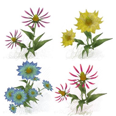 Çiçekli çiçek arkaplanı