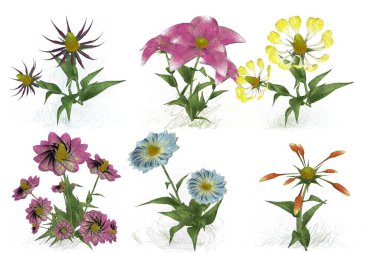 Beyaz arka planda suluboya çiçekler seti