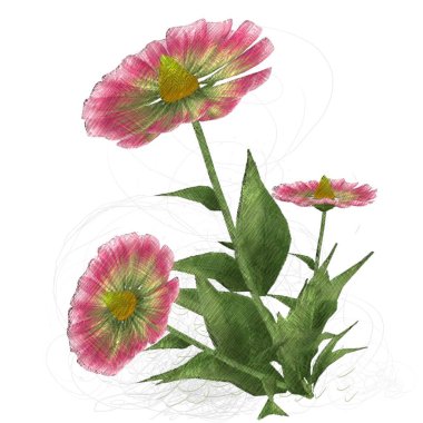 Beyaz arkaplanda izole edilmiş suluboya çiçekleri