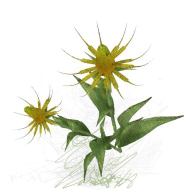 Beyaz arkaplanda güzel çiçekler