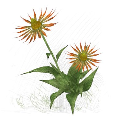 beyaz zemin üzerine suluboya çiçek