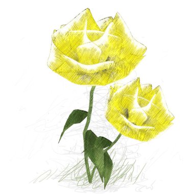 suluboya yaprak beyaz arkaplanda izole