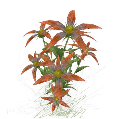 Beyaz arkaplanda güzel çiçekler